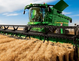 朱砂根的種植方法，選種、幼苗期管理、施肥、移栽、病蟲害防治